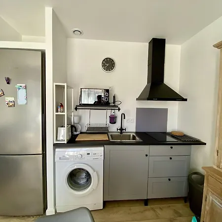 T1 Bis Confortable A Avec Jardin Et Animaux Acceptes - Fr-1-495-136 *