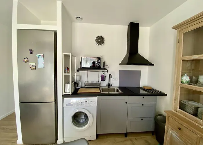 T1 Bis Confortable A Avec Jardin Et Animaux Acceptes - Fr-1-495-136 *