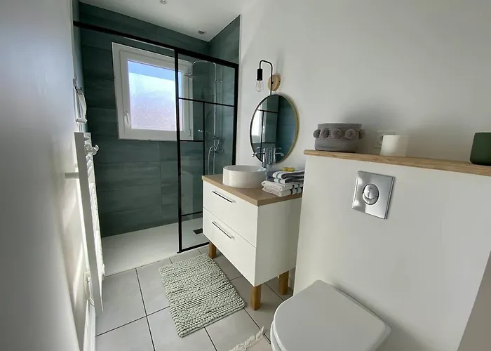 T1 Bis Confortable A Avec Jardin Et Animaux Acceptes - Fr-1-495-136 *